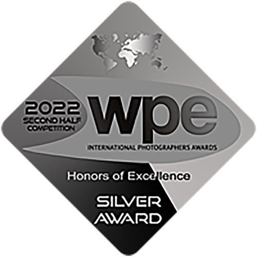 award-2022-wpe-silver.png