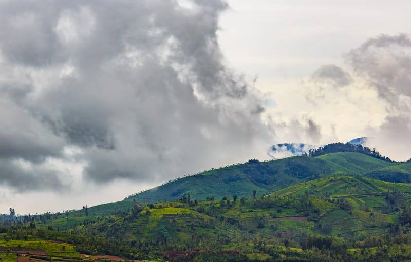 1510-04-ooty-078-hdr