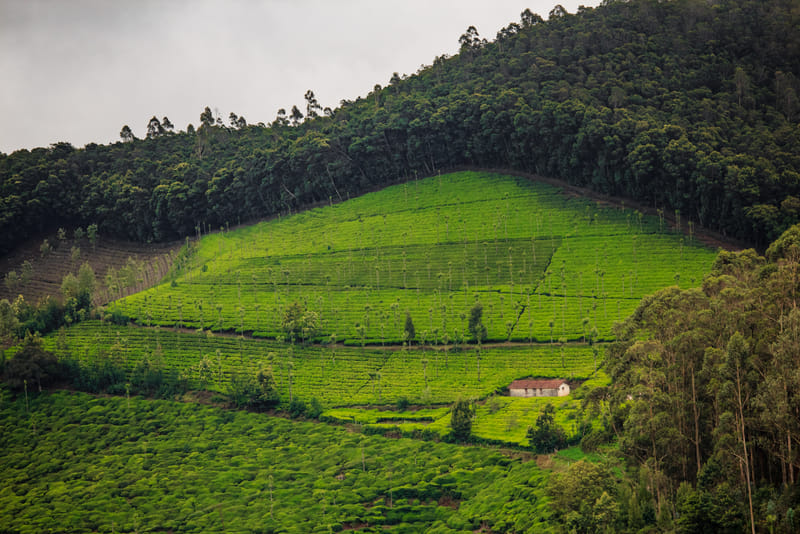 1510-04-ooty-200-hdr