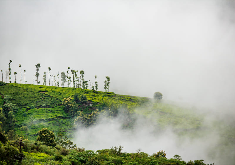1510-04-ooty-209