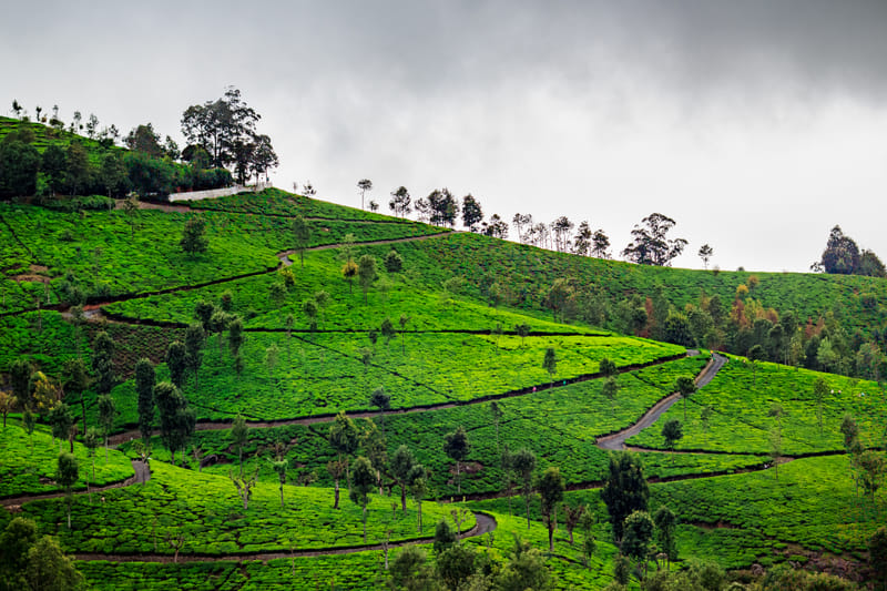 1510-04-ooty-410-hdr