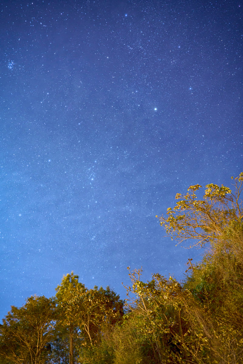 1601-03-coorg-007-hdr