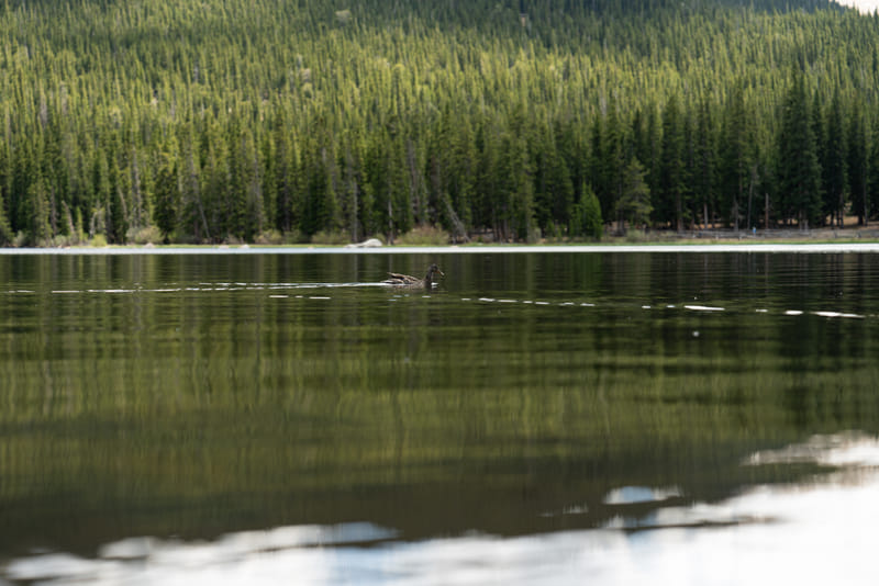 2406-01-echo-lake-park-004