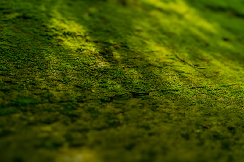 2406-01-kaaterskill-falls-063