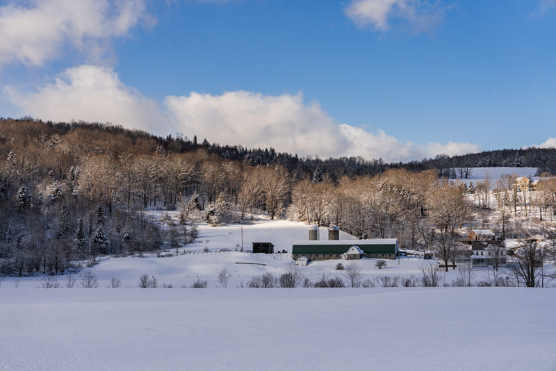 2501-02-mount-snow-001