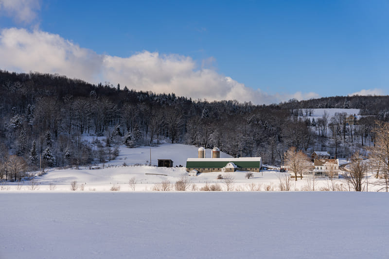 2501-02-mount-snow-004