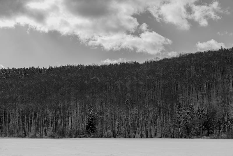 2501-02-mount-snow-019