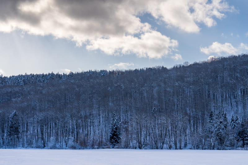 2501-02-mount-snow-027-hdr