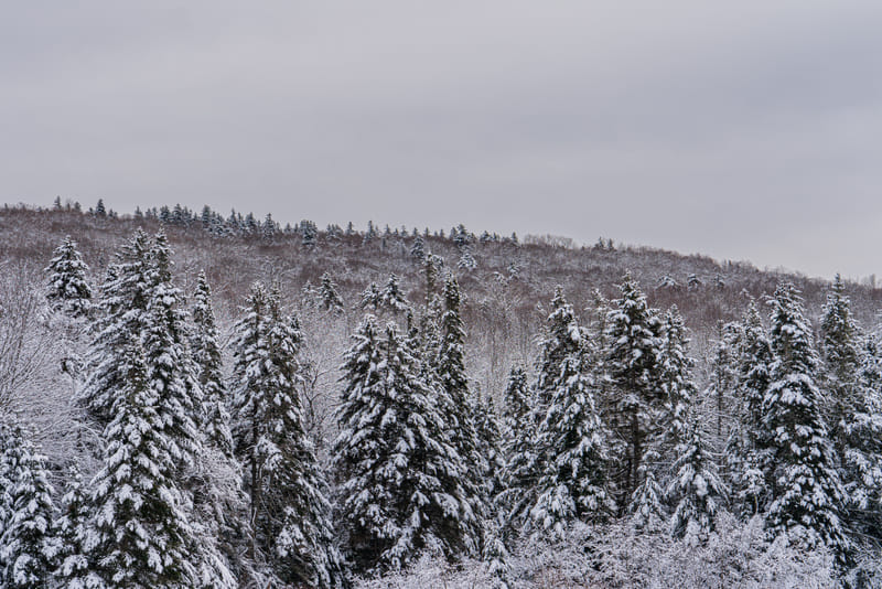 2501-03-mount-snow-099