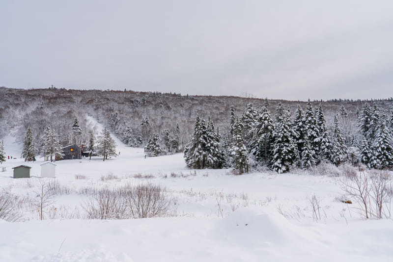 2501-03-mount-snow-107