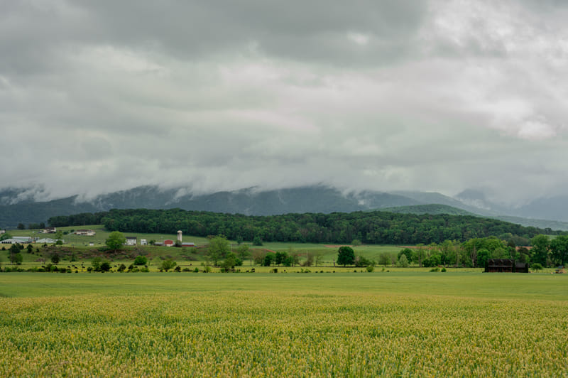 2505-01-shenandoah-national-park-026