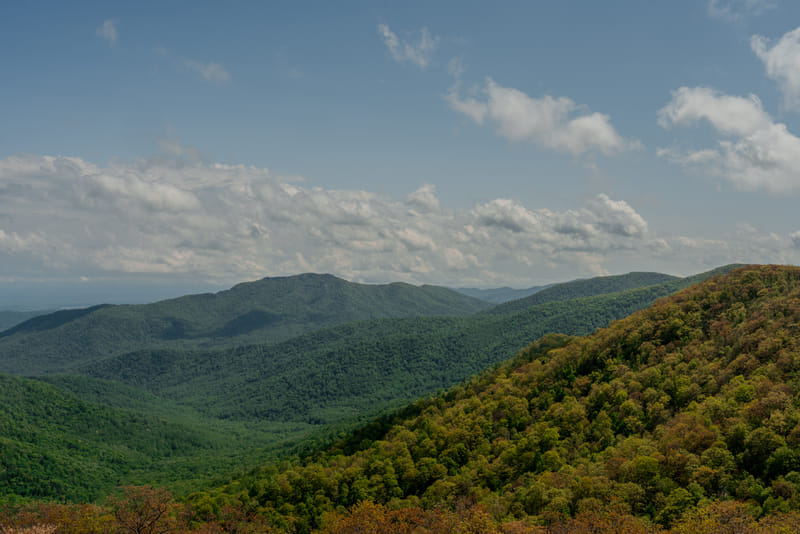 2505-01-shenandoah-national-park-031