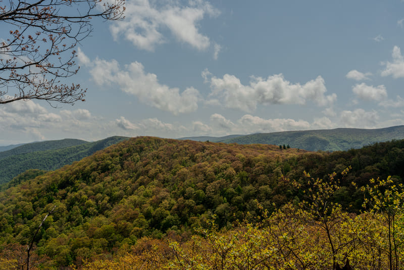 2505-01-shenandoah-national-park-033