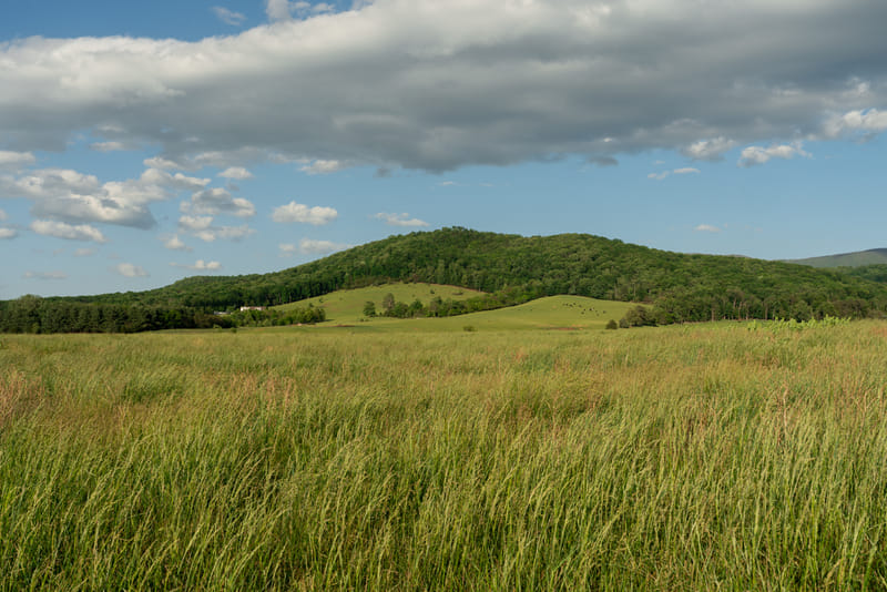 2505-01-shenandoah-national-park-086