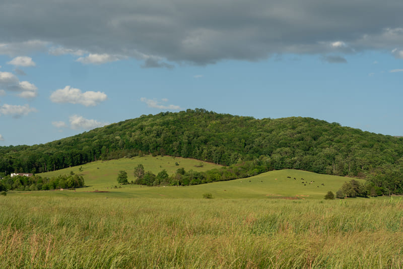 2505-01-shenandoah-national-park-089