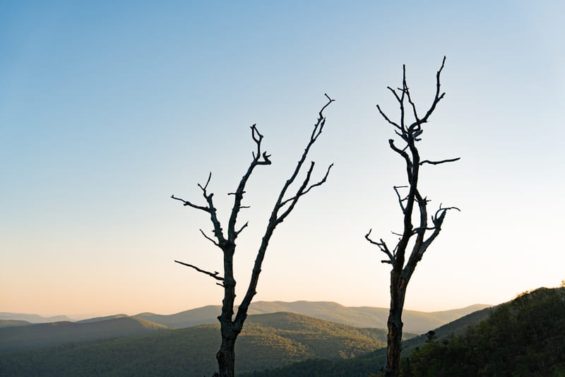 2505-02-shenandoah-national-park-069