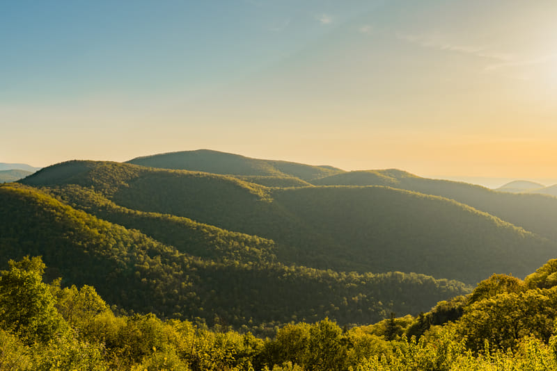 2505-02-shenandoah-national-park-119-hdr