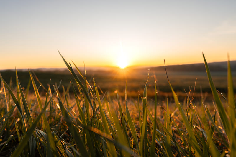 2508-02-watkins-glen-state-park-014