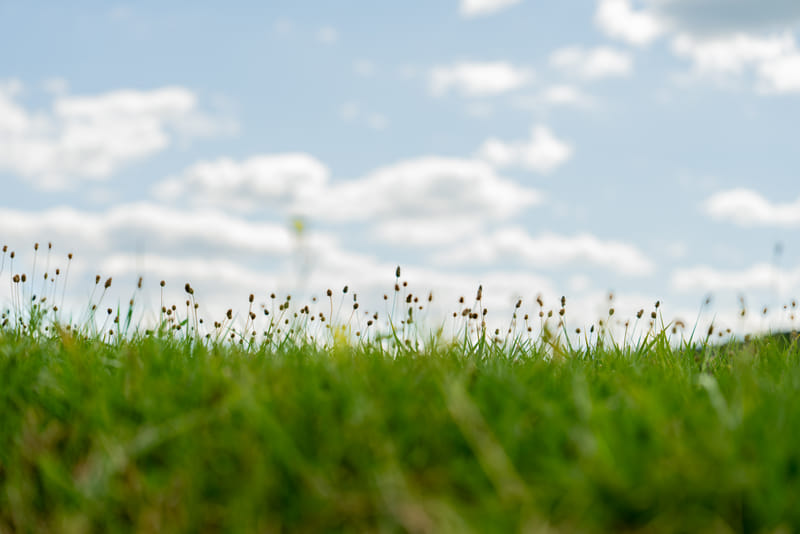 2508-02-watkins-glen-state-park-211