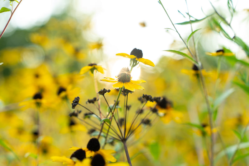 2508-02-watkins-glen-state-park-216