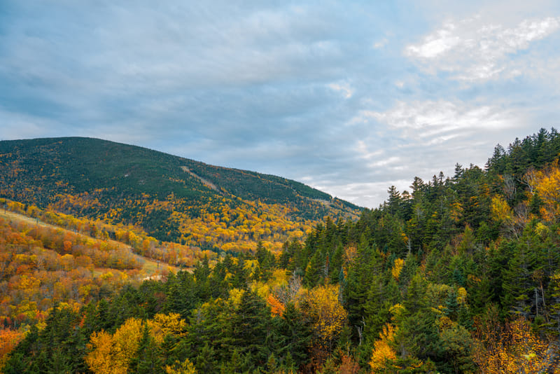 2510-01-white-mountain-national-forest-013