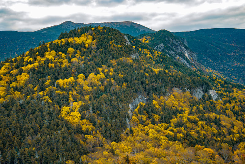 2510-01-white-mountain-national-forest-016