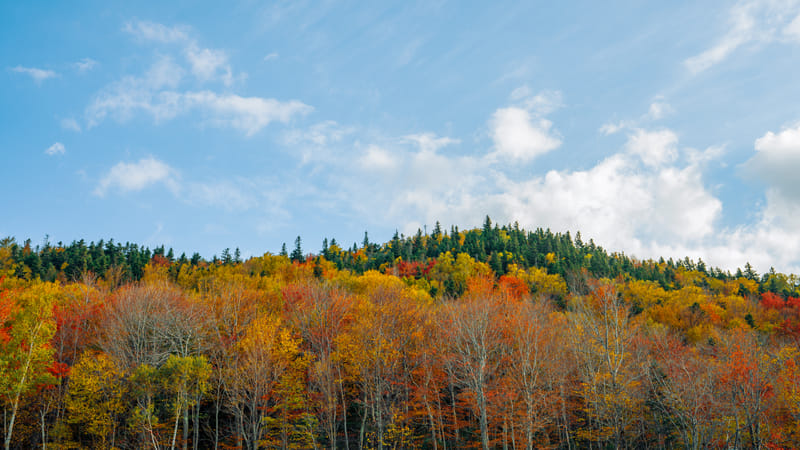 2510-01-white-mountain-national-forest-083