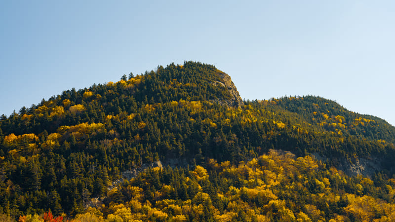 2510-01-white-mountain-national-forest-091