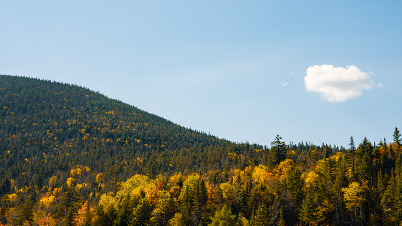 2510-01-white-mountain-national-forest-139