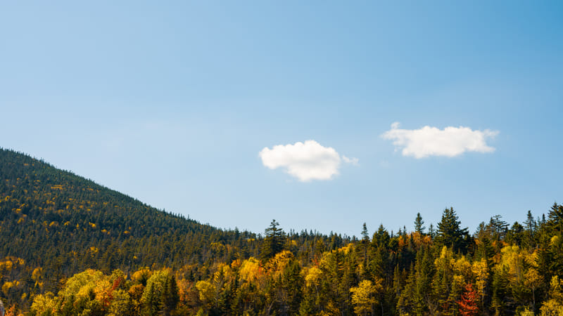 2510-01-white-mountain-national-forest-140