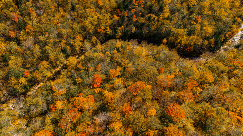 2510-01-white-mountain-national-forest-161