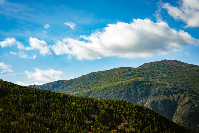 2510-01-white-mountain-national-forest-164