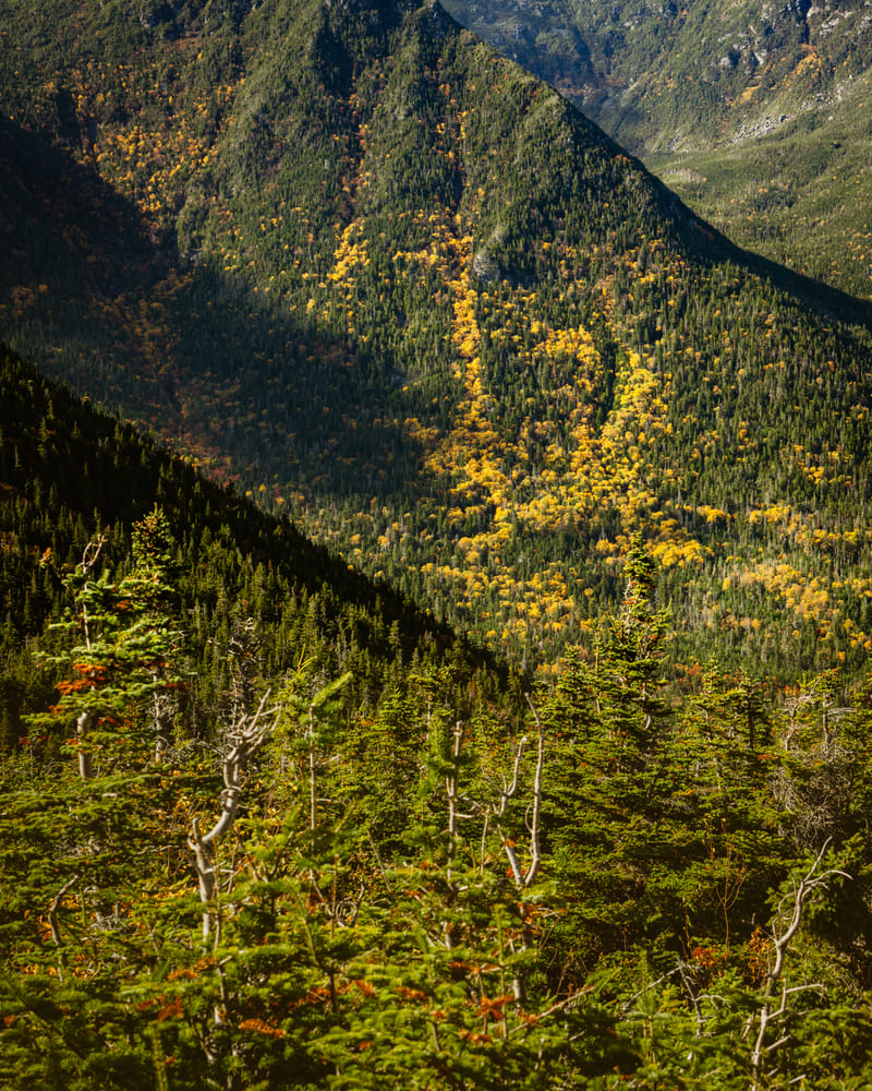 2510-01-white-mountain-national-forest-170