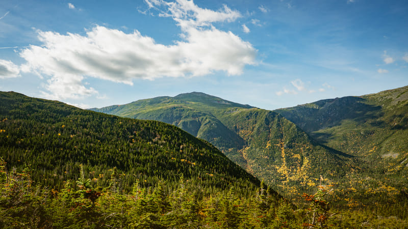 2510-01-white-mountain-national-forest-173