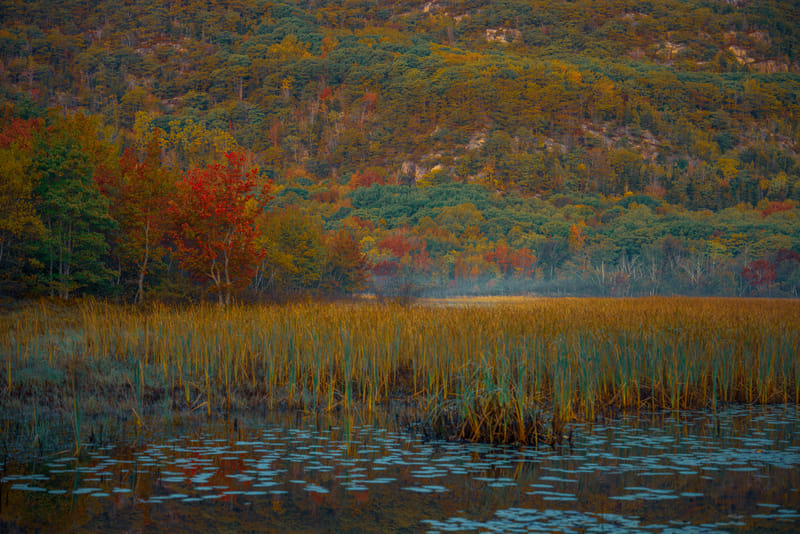 2510-02-acadia-national-park-021