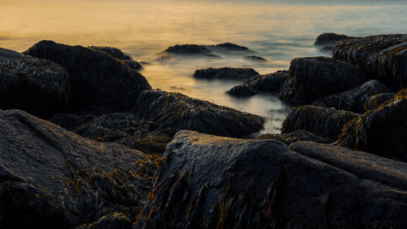 2510-02-acadia-national-park-057