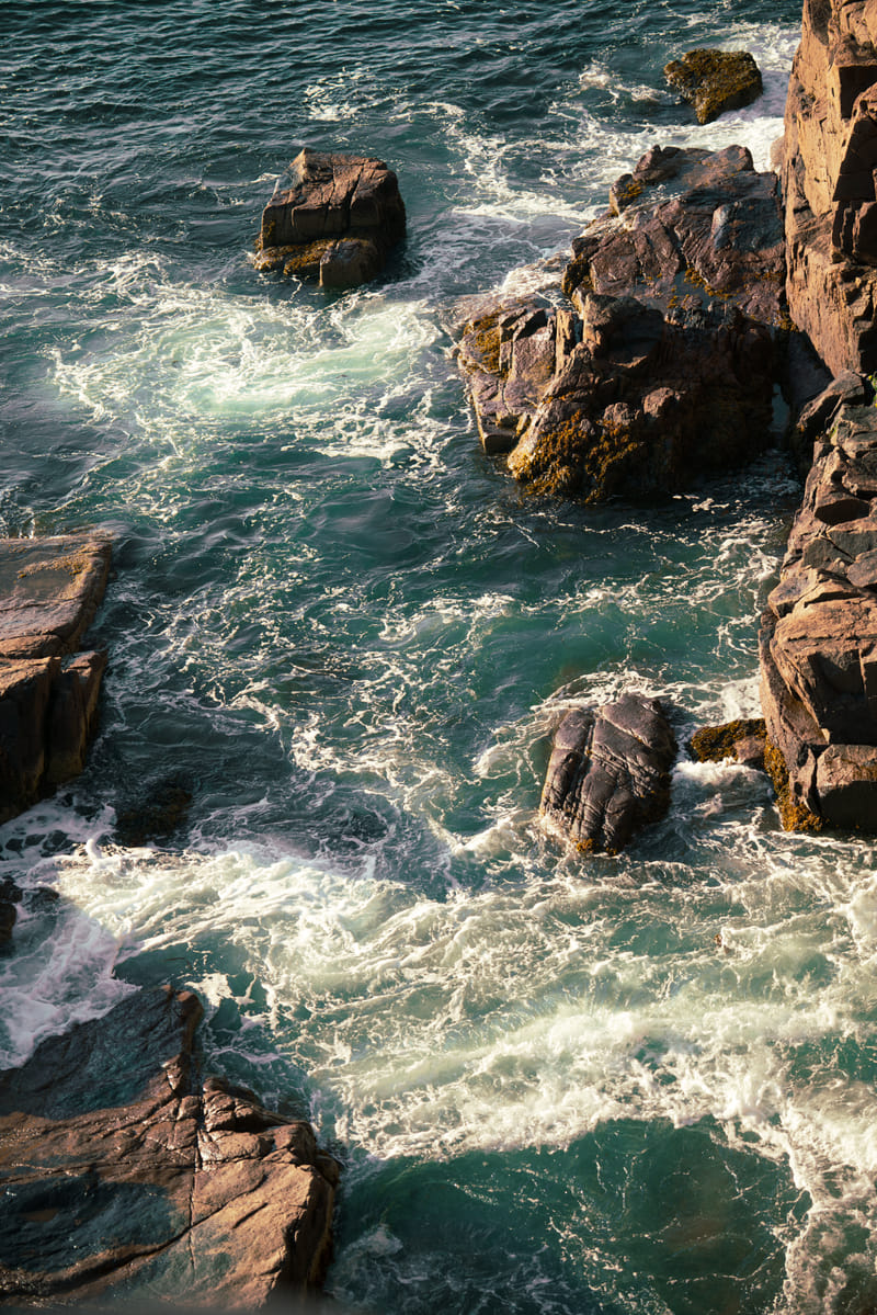 2510-02-acadia-national-park-092