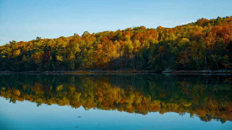 2510-02-acadia-national-park-116