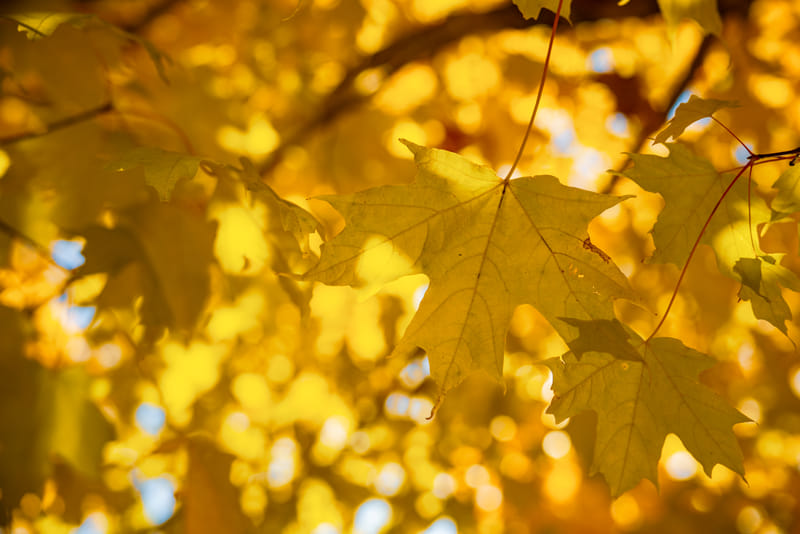 2510-02-acadia-national-park-235