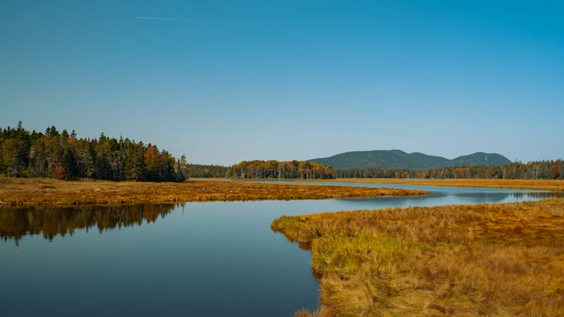 2510-02-acadia-national-park-255