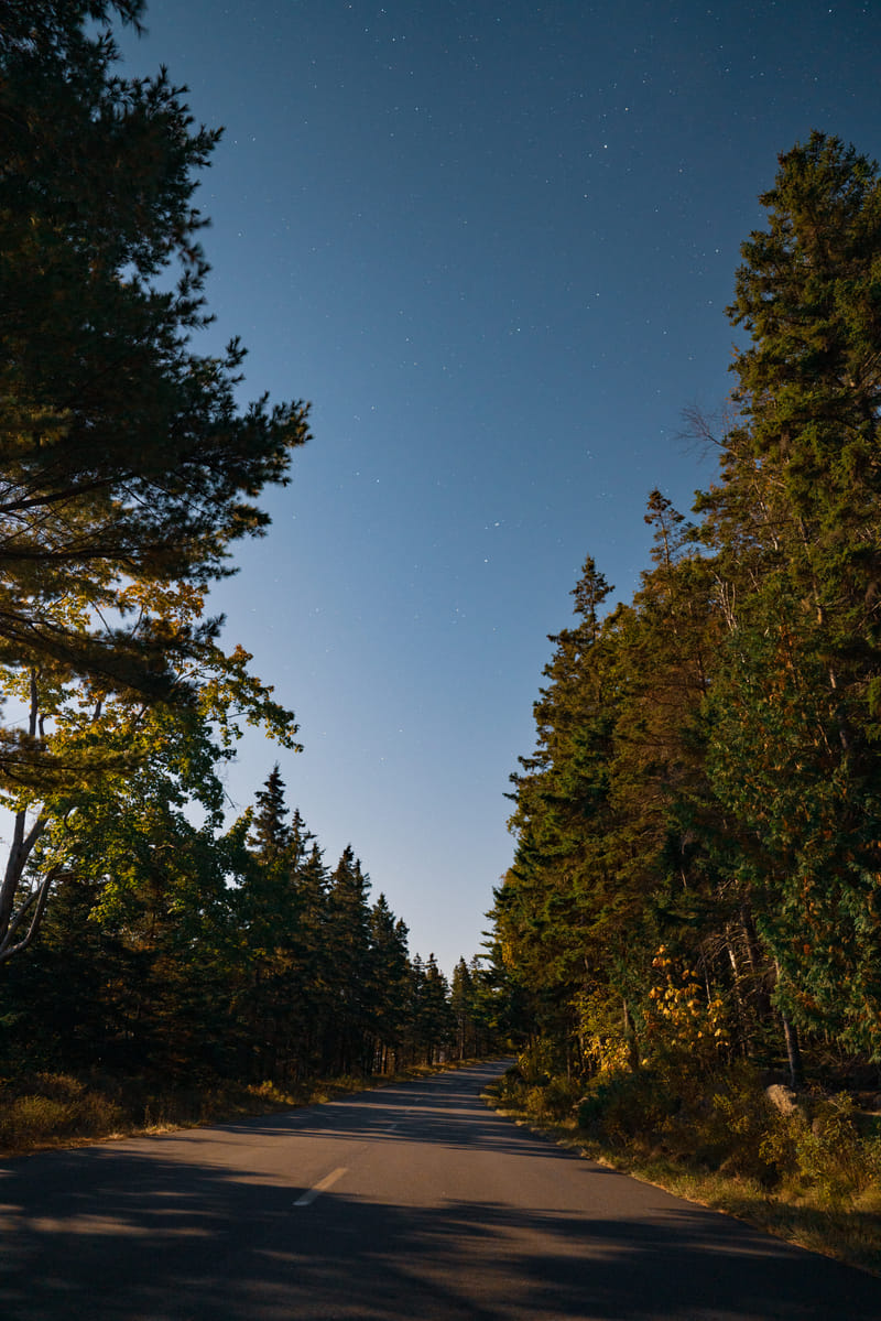 2510-02-acadia-national-park-300