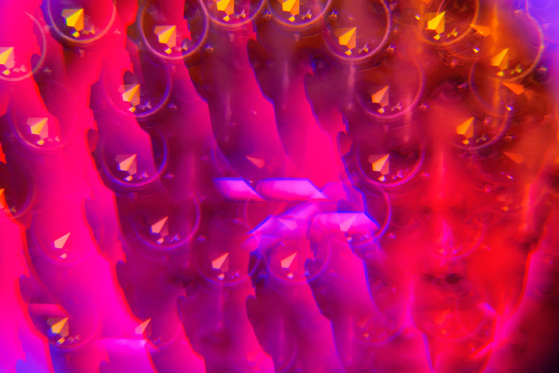 electric-carnival-d3-200311-006